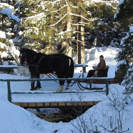 Koliba Ski Gruniky Sihelne Экстерьер фото