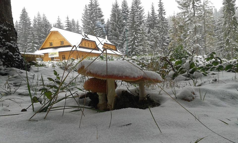 Koliba Ski Gruniky Sihelne Экстерьер фото